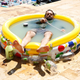 Image for article titled Chris Miller And Phil Lord Discuss Last Man On Earth's Inevitable Incest